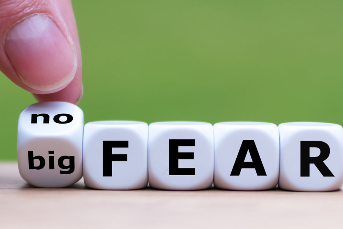 When Fears Stall You