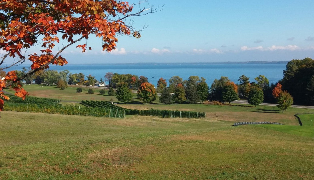 5 Midwest Wine Destinations